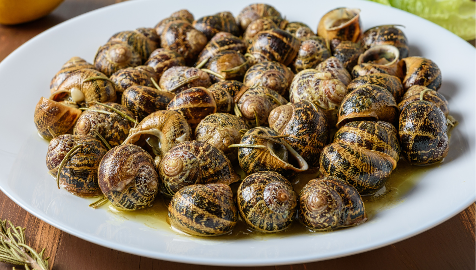 Cretan fried snails