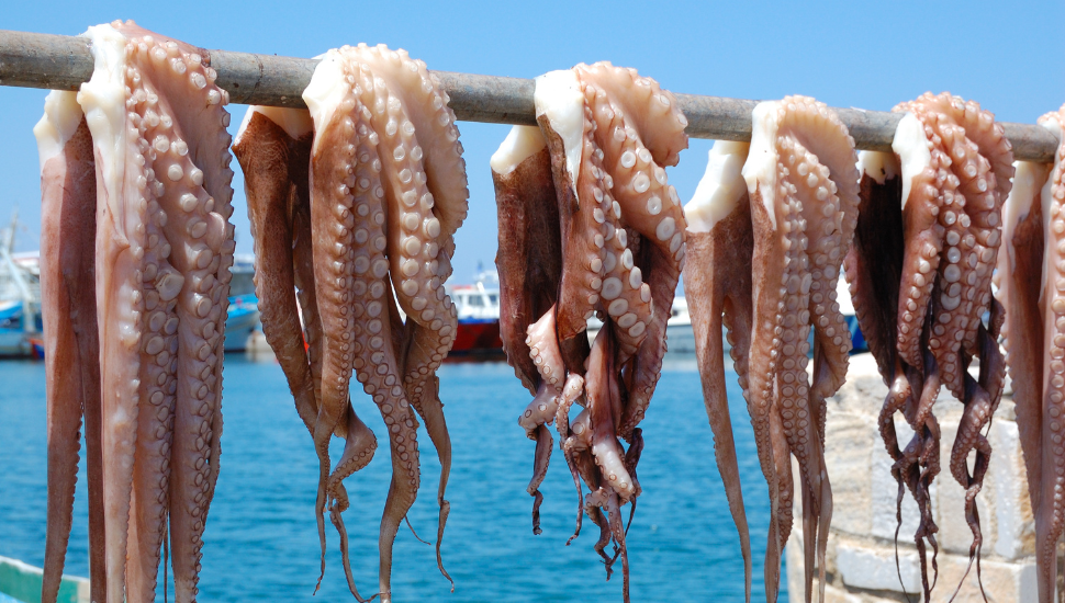 Naxos food - Octopus