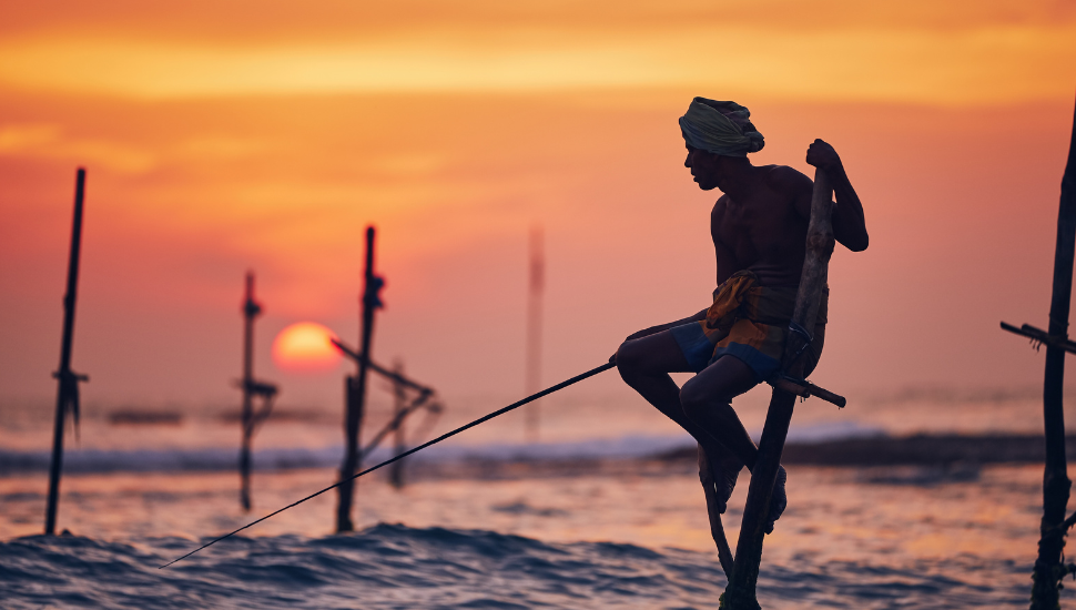 Traditional stilt fishing in Sri Lanka