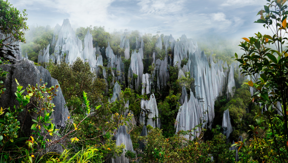 Borneo Limestone Pinnacles