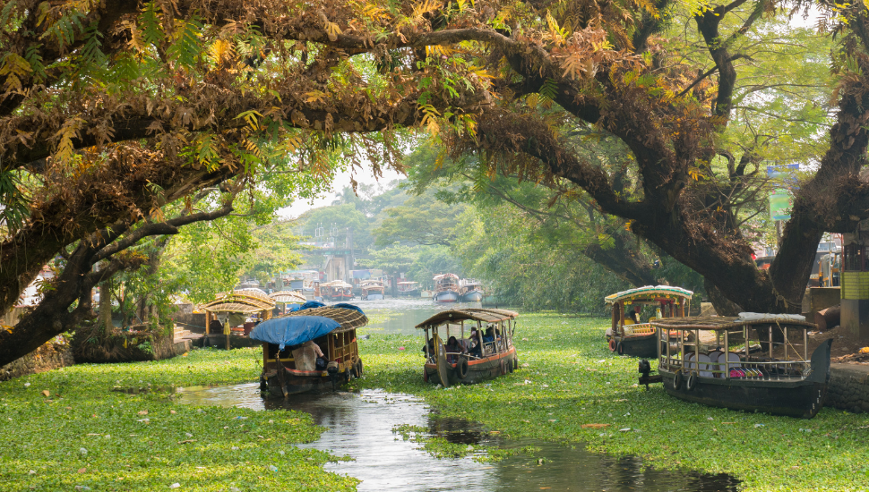 Houseboats on the backwaters of Kerala in Alappuzha