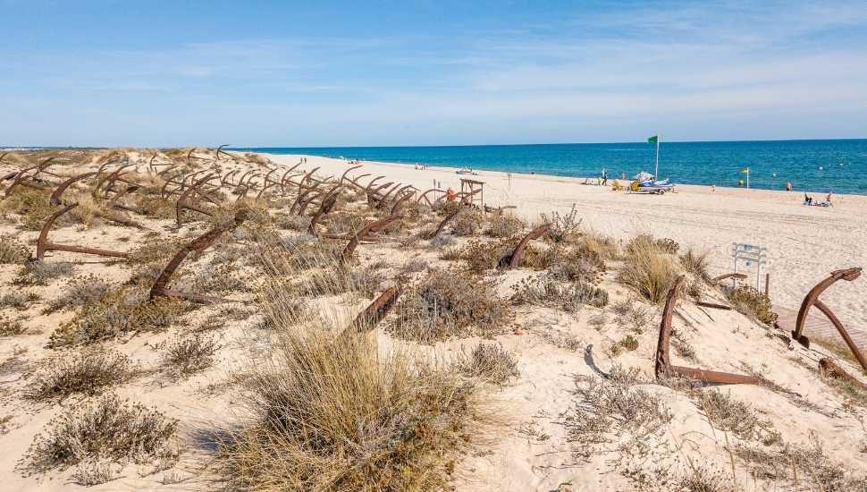 Barril Beach, Tavira