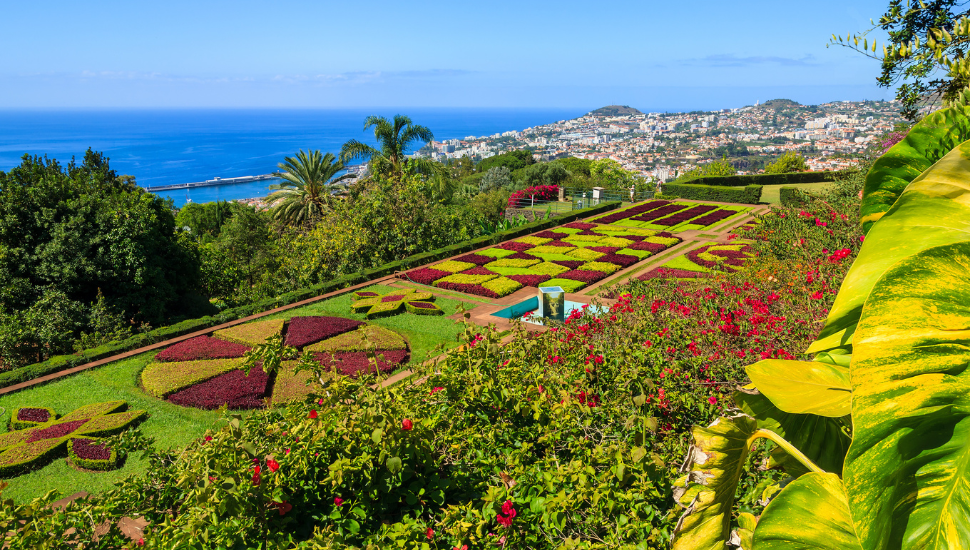 Botanical gardens of Funchal, Madeira