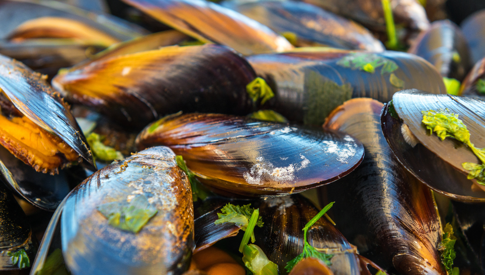 Belgium Food - Mussels