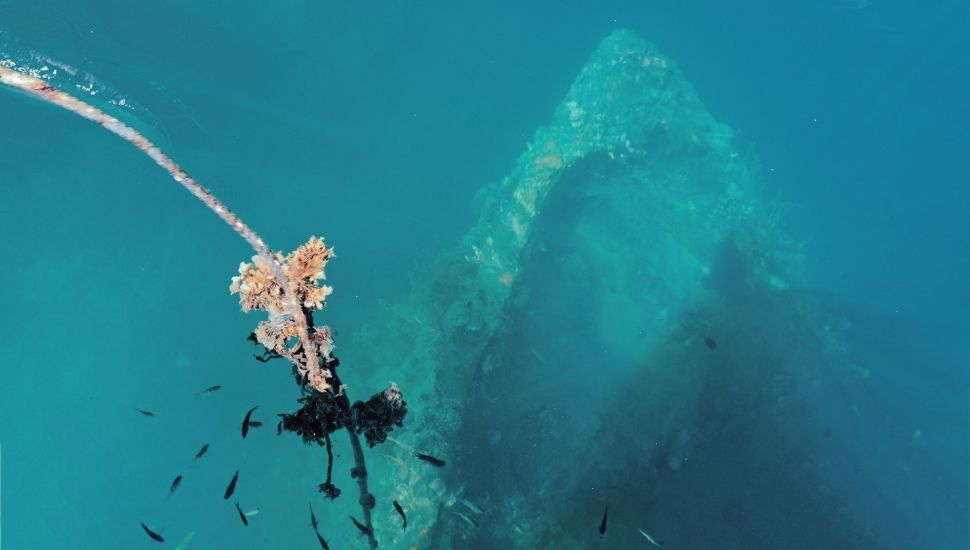 Japanese Shipwrecks of Coron