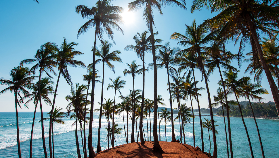 Coconut tree hill in Mirissa Sri Lanka