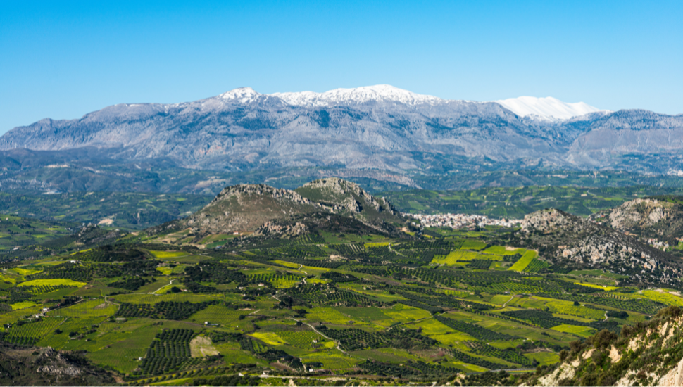 Crete's wine region