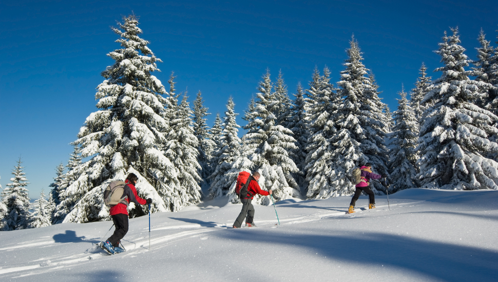 Skiing in France