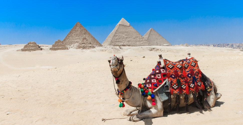 egypt fco travel advice