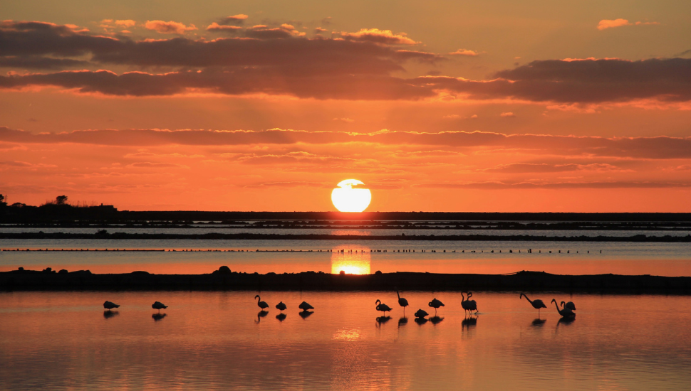 Ibiza salt pans