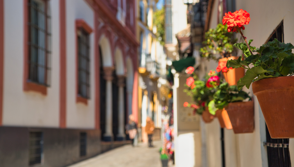 Santa Cruz, Sevilla