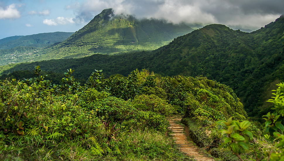 7 Reasons to Visit Dominica the Caribbean s Nature 