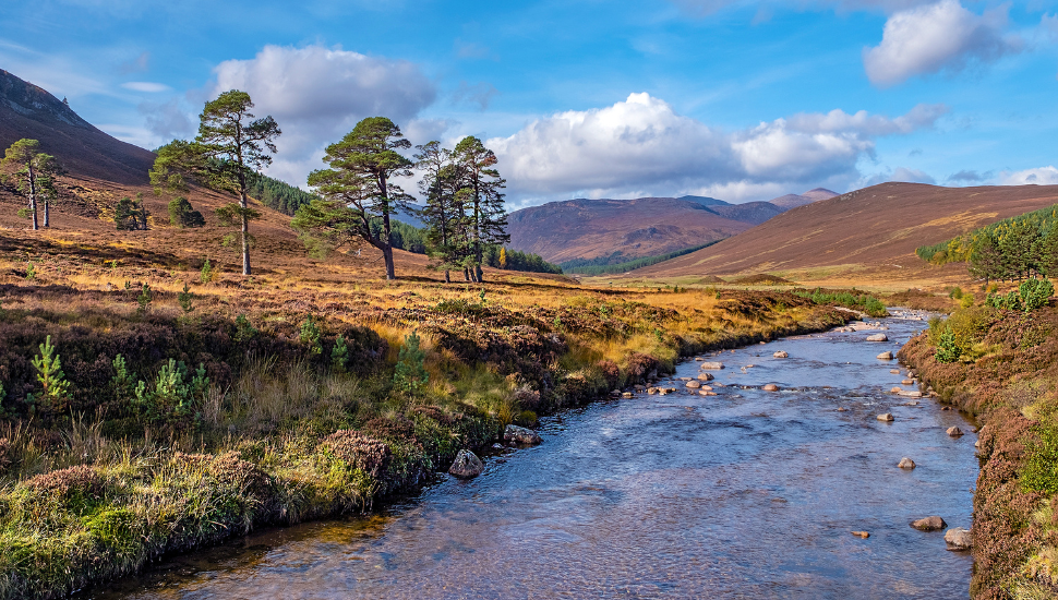 Small river running through the Cairngorms National Park in Scotland