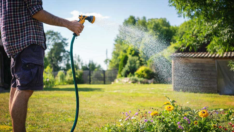 Watering plants at house exchange property